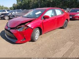 Toyota Corolla Le 2T1BURHE3KC187759 снимка