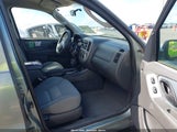 Ford Escape Xlt 1FMYU03115KB31991 fotografie