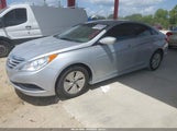 Hyundai Sonata Gls 5NPEB4AC1EH813163 снимка