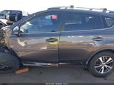 Toyota Rav4 Xle 2T3WFREV1HW326642 снимка