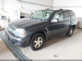 Chevrolet Trailblazer Ls 1GNDT13S852223515 снимка