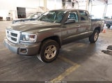 Dodge Dakota Bighorn/Lonestar 1D7CW3GK6AS139971 fotografie