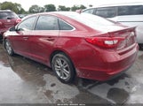 Miniaturka zdjęcia 3