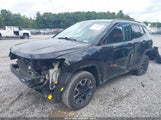 Jeep Compass Trailhawk 4X4 3C4NJDDB9LT167244 снимка