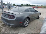 Ford Mustang Gt 1ZVBP8CF1D5261761 снимка