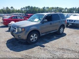 Ford Escape Xlt 1FMCU03709KA99491 снимка