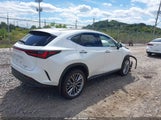 Lexus Nx 350H Luxury JTJHKCEZ5R2039011 fotografie
