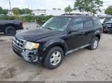 Ford Escape Xls/Xls Manual 1FMCU02719KD05631 снимка