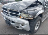 Dodge Dakota Slt 1B7HG48N02S519241 photo