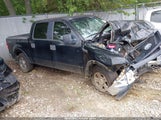 Ford F-150 Xlt 1FTRW14WX5KC97607 снимка