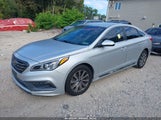 Hyundai Sonata Sport 5NPE34AF9GH356158 photo