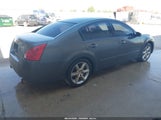 Nissan Maxima 3.5 Sl 1N4BA41E76C833976 снимка