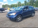 Honda Cr-V Lx 5J6RE3H36AL047603 снимка