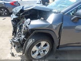 Toyota Rav4 Xle 2T3W1RFV3LC065330 fotografie