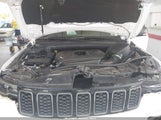 Jeep Grand Cherokee Trailhawk 4X4 1C4RJFLG6LC387690 снимка