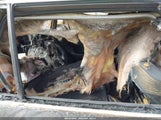 Toyota Rav4 Xle 2T3W1RFV5LC052871 снимка