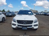 Mercedes-Benz Ml 350 4Matic 4JGDA5HB4EA384346 снимка