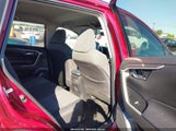 Toyota Rav4 Xle 2T3W1RFV0PW273993 photo