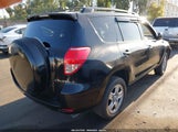 Toyota Rav4 JTMZD33V686067859 снимка