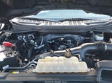 Ford F-150 Xl 1FTEW1CP8MFA70626 снимка