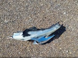 Nissan Murano S 5N1AZ2MH6GN159037 снимка