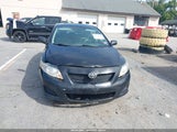 Toyota Corolla Le 2T1BU4EE3AC407536 снимка