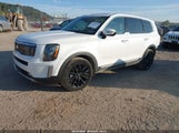 Kia Telluride Sx 5XYP5DHC7LG058983 fotografie