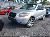 Hyundai Santa Fe Gls 5NMSG13D09H302409 снимка