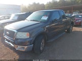 Ford F-150 Lariat/Xl/Xlt 1FTPX12535FB71693 fotografie