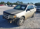 Ford Escape Xlt 1FMCU0DG2AKA41241 снимка