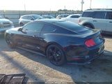 Ford Mustang Ecoboost Fastback 1FA6P8TH6M5114038 снимка
