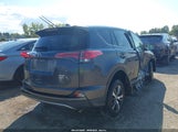 Toyota Rav4 Xle 2T3RFREV8JW704605 photo
