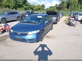 Honda Civic Lx 2HGFA16599H503973 снимка