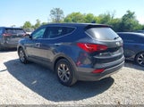 Hyundai Santa Fe Sport 2.4L 5XYZTDLB8EG198069 photo