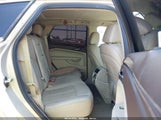 Cadillac Srx Performance Collection 3GYFNEEY6BS635916 снимка