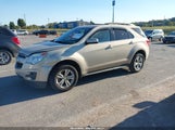 Chevrolet Equinox 1Lt 2GNALDEK5C1114878 снимка