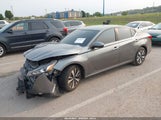 Miniaturka zdjęcia 2