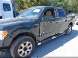 Ford F-150 Xlt 1FTFW1ET3EFC58163 снимка