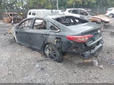 Hyundai Sonata Se 5NPE24AF1HH555337 снимка