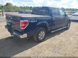 Ford F-150 Fx4/Harley-Davidson/King Ranch/Lariat/Platinum/Xl/Xlt 1FTFW1EV2AFD53230 fotografie
