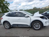 Ford Escape Se 1FMCU9G62MUA98247 снимка