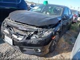 Honda Civic Ex-L 19XFC1F72GE203470 снимка