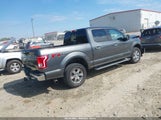 Ford F-150 Xlt 1FTEW1EP4HFA42650 снимка