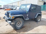 Jeep Wrangler Se 1J4FA291X3P338249 снимка
