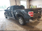 Ford F-150 Xlt 1FTFW1EF1CFA68501 снимка