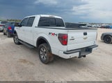 Ford F-150 Fx4 1FTFW1EF9BFD38721 снимка