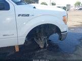 Ford F-150 Xlt 1FTFW1CT3DKE45797 снимка