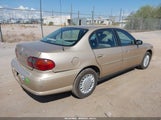 Chevrolet Malibu 1G1ND52J43M739911 снимка