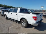 Ford F-150 Xl 1FTEW1CM6EKD66596 снимка