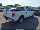 Ford F-150 Xl 1FTEW1CM6EKD66596 снимка